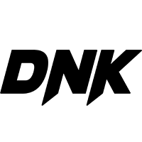 lightinkprint.com